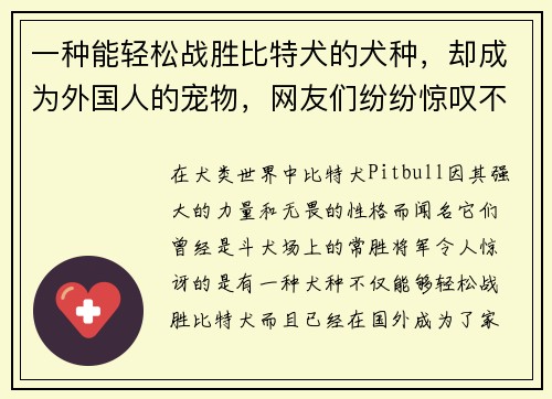 一种能轻松战胜比特犬的犬种，却成为外国人的宠物，网友们纷纷惊叹不已